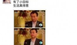 武汉爆料视频完整版,揭秘疫情真相与防控挑战