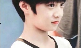 刘耀文被队友爆料视频大全,揭秘背后真相与争议